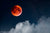 Blutmond 2022: Roter Mond im Nachthimmel